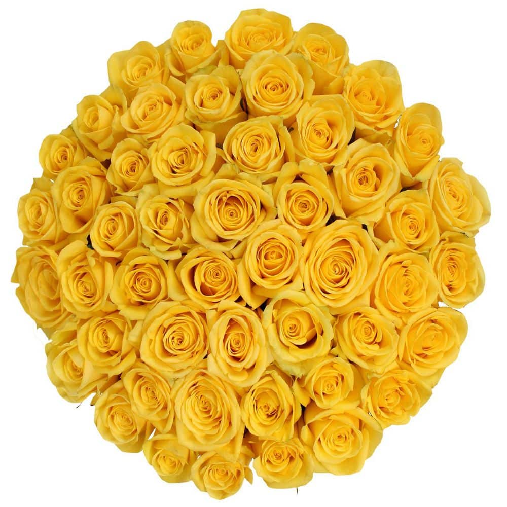 Heb Yellow Roses FLORAVAS 50 STEMS YELLOW ROSES FLR-ROS-50-YLW-ELT - The Home Depot