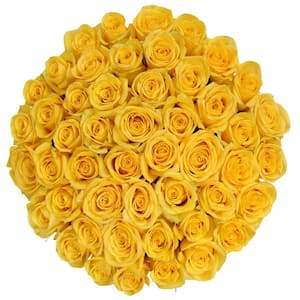 50 STEMS YELLOW ROSES