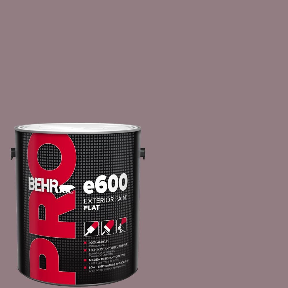 1 gal. #100F-5 Gypsy Magic Flat Exterior Paint price history on PriceWatchPro