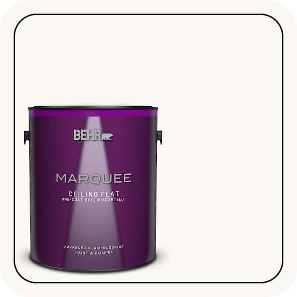 1 gal. White Ceiling Flat Interior Paint & Primer