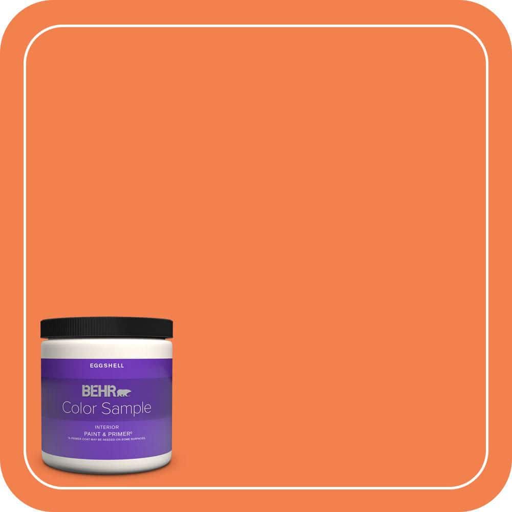 8 oz. #220B-6 Harvest Pumpkin Eggshell Enamel Interior Paint & Primer Color Sample price history on PriceWatchPro
