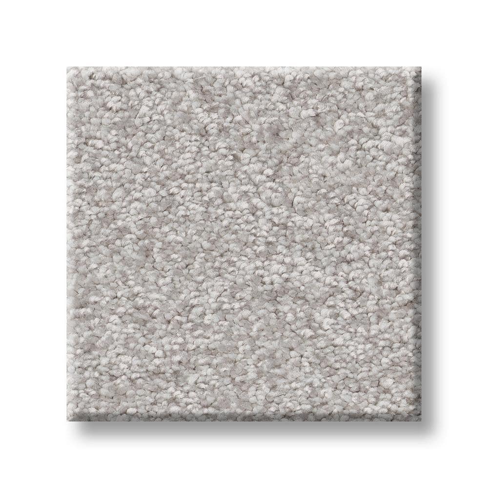 8 in. x 8 in. Texture Carpet Sample - Rosemary I -Color Daikon price history on PriceWatchPro