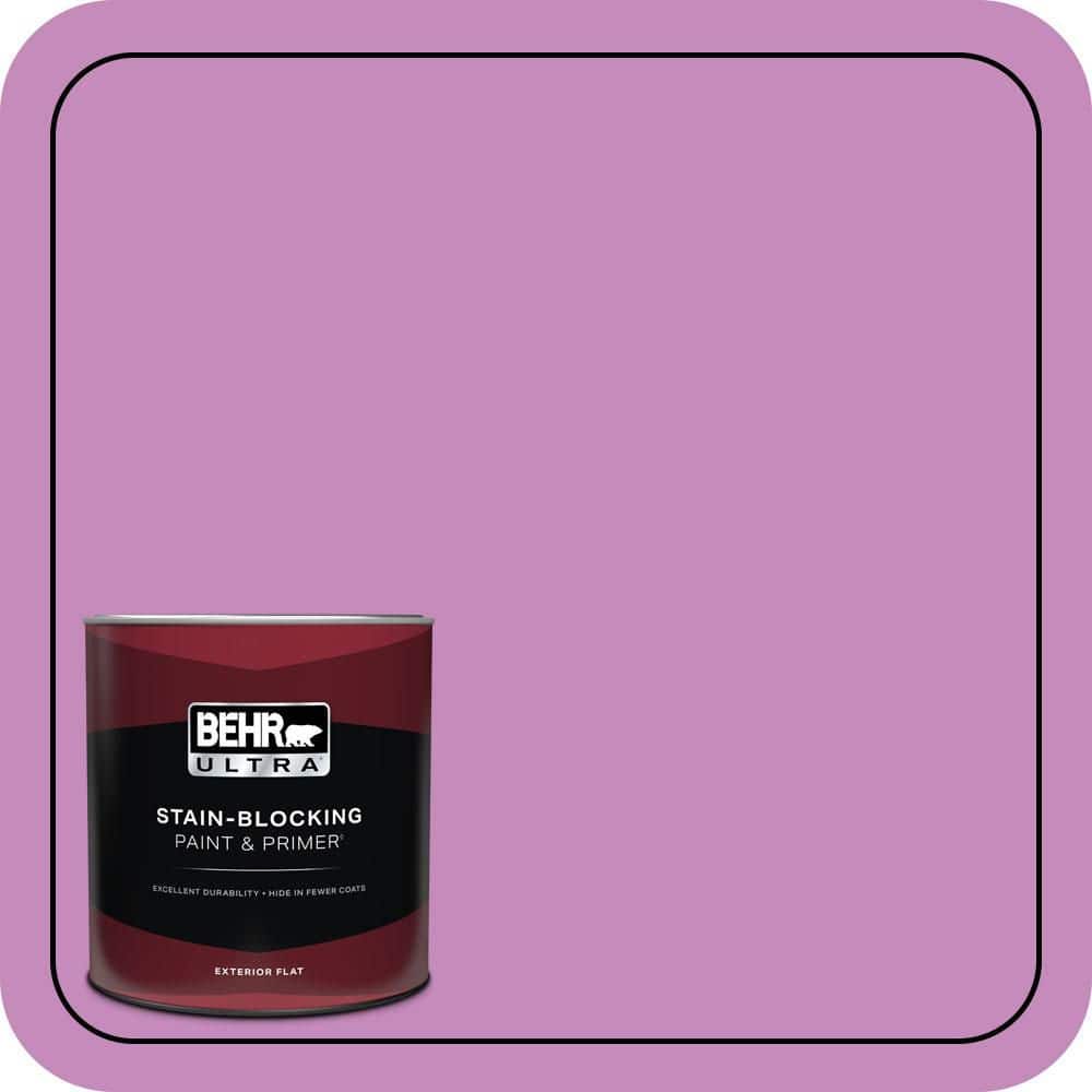 1 qt. #P110-4 Rock Star Pink Flat Exterior Paint & Primer price history on PriceWatchPro