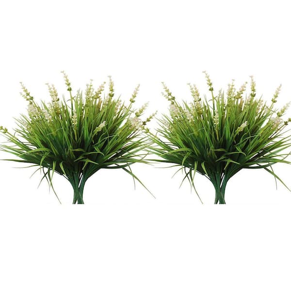 Monkey Grass Home Depot