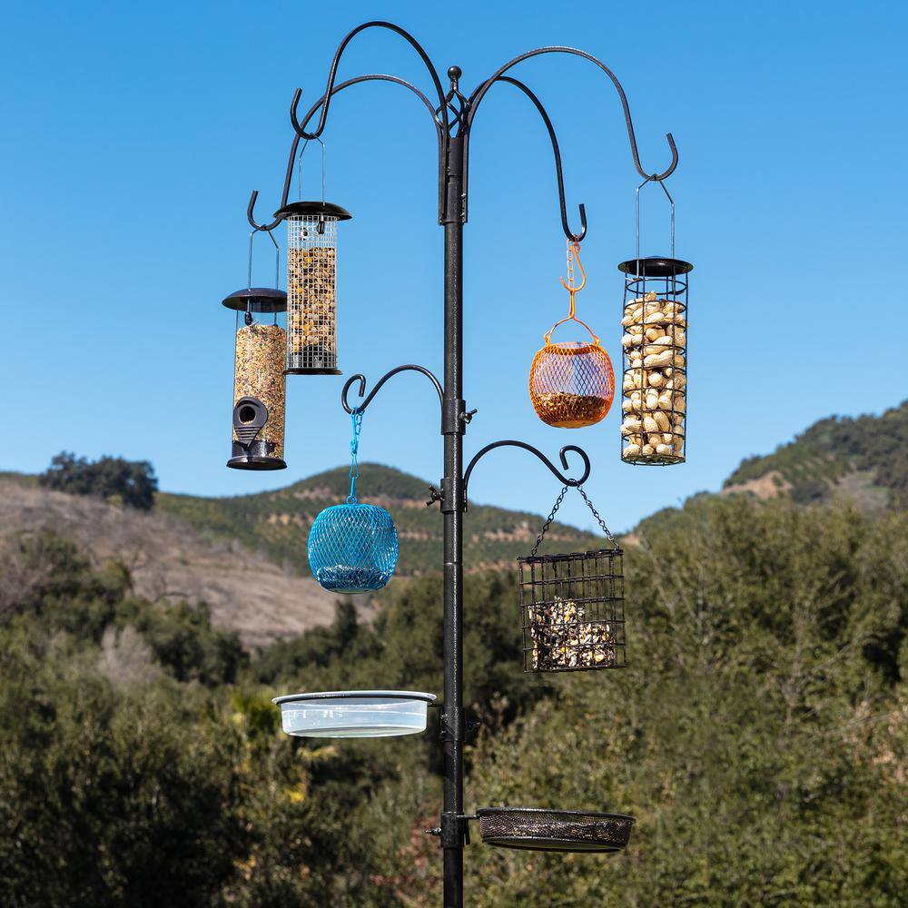 Buy Steel Suet/Block Multi-Bird Feeder Station Online at Lowest Price ...