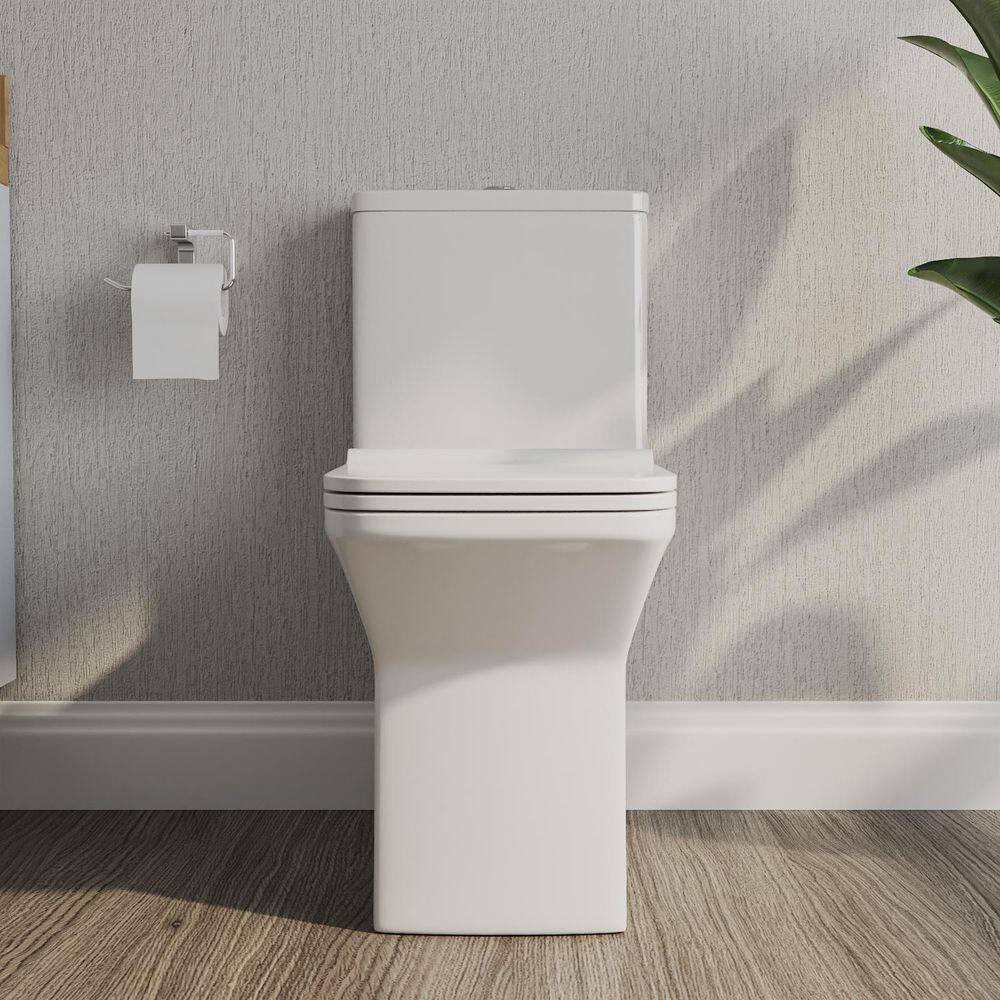 Ace White Ceramic Dual-Flush Elongated One-Piece Toilet