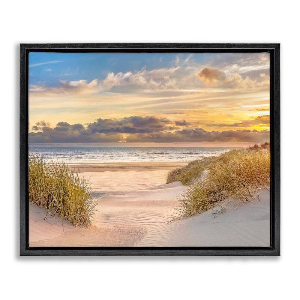 Serene Beach Between Dunes by Mike Calascibetta Black Floater Frame Nature Graphic Art Print 25 in. x 31 in. price history on PriceWatchPro
