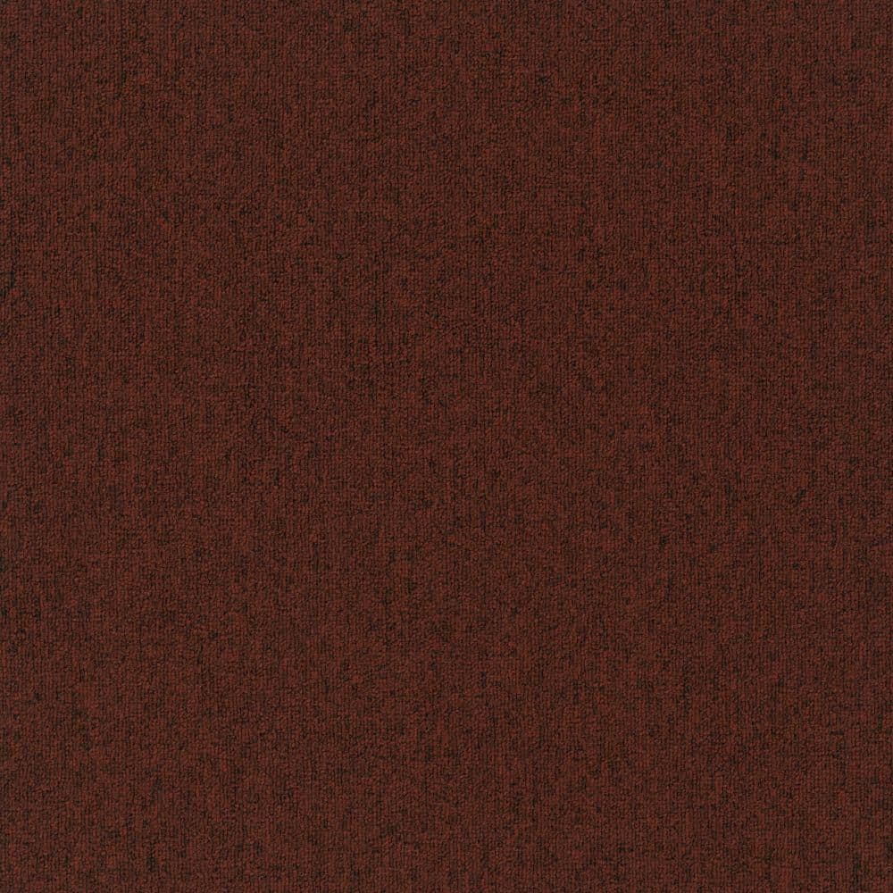 8 in. x 8 in. Loop Carpet Sample - Form Focus 20 - Color Crimson price history on PriceWatchPro