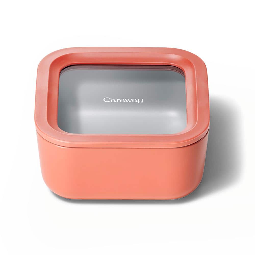 Perracotta 4.4 Cup Glass Lunch Box with Lid