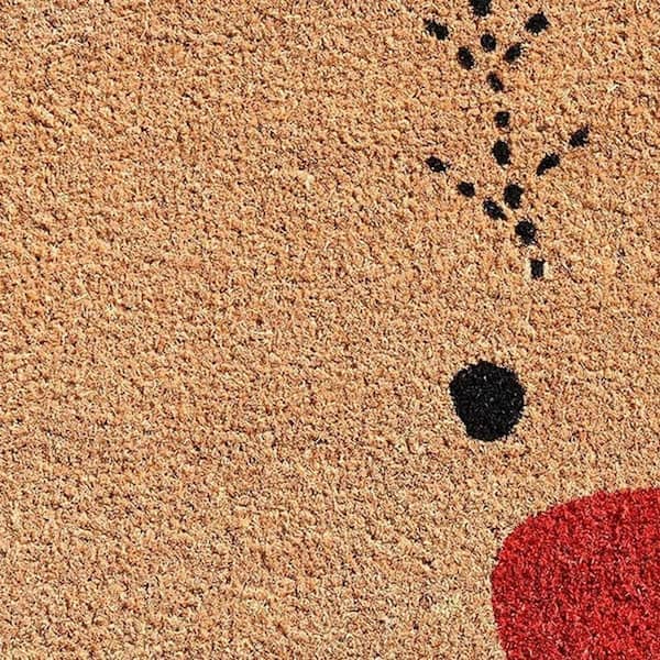 Multi-Colored 29 in. x 17 in. Coir Non-Slip Indoor / Outdoor Door Mat