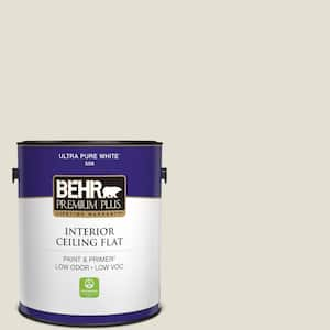 1 gal. #BWC-17 Shark Tooth Ceiling Flat Interior Paint