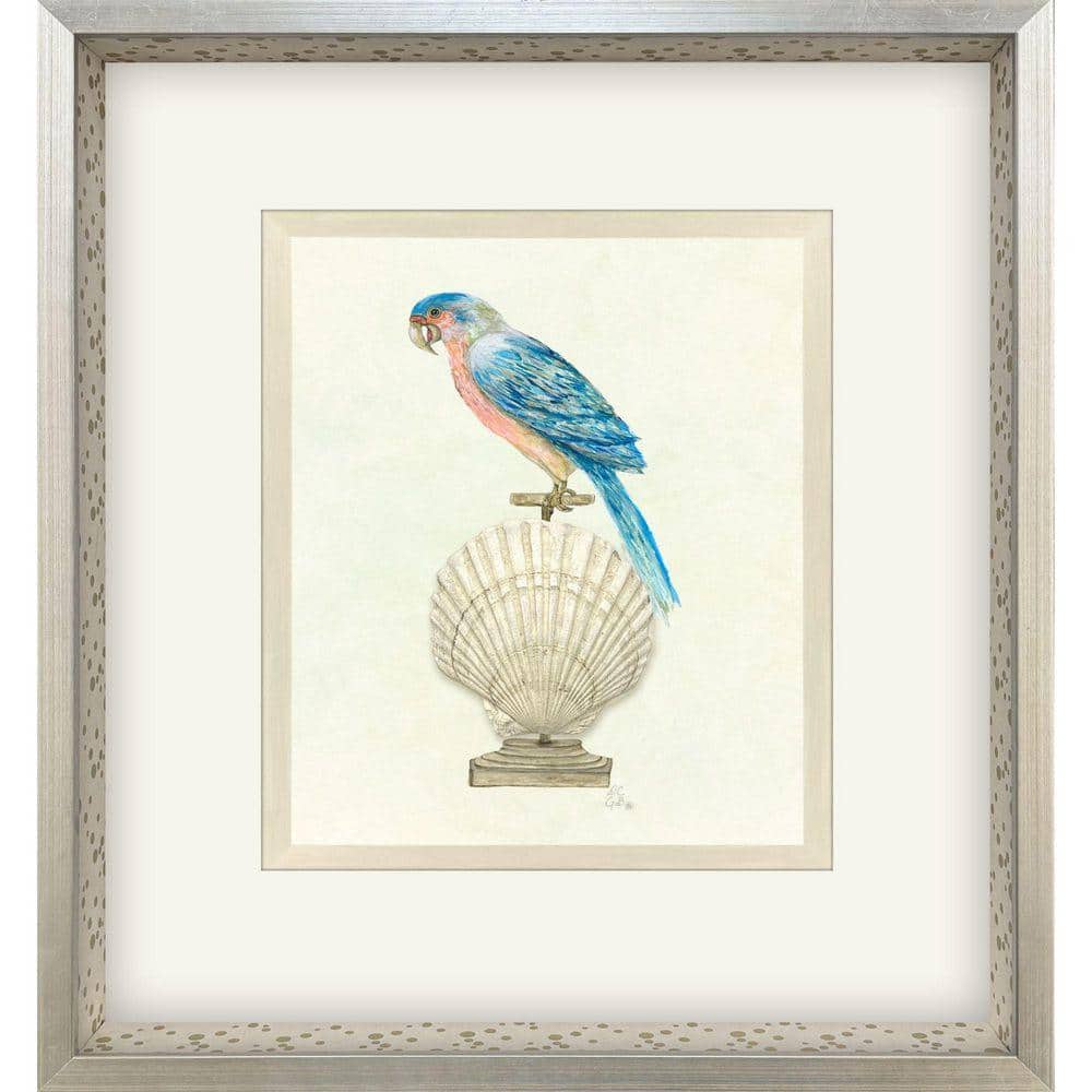 Paragon Treasure Parrot by PopJoy Studio 1 Piece Framed Animal Art