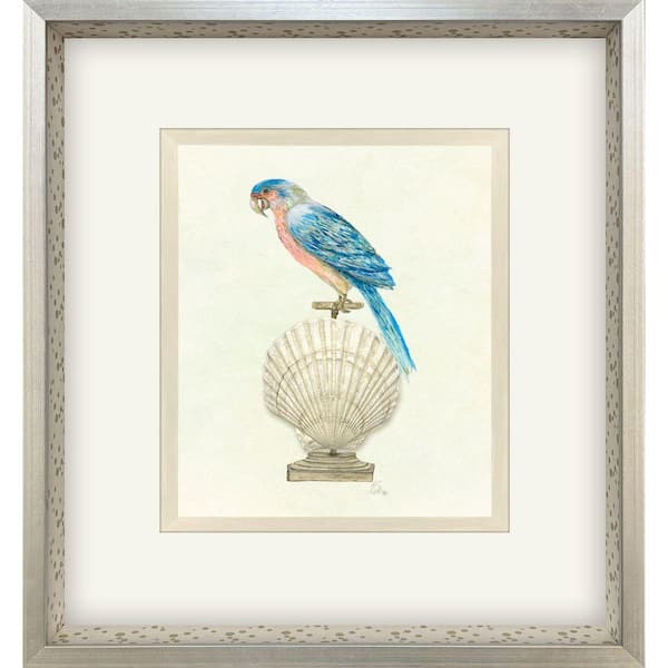 Paragon Treasure Parrot by PopJoy Studio 1 Piece Framed Animal Art