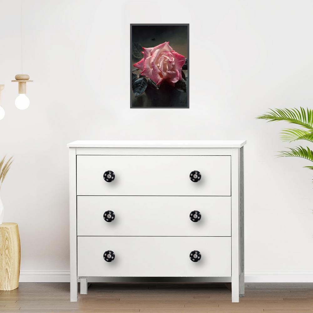 Hand-Painted Ceramic Round Knob with Mounting Hardware