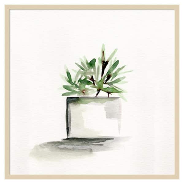 Amanti Art Potted Botanicals IV by Marcy Chapman 33 in. W x 33 in. H. Wood Framed Wall Art Print Framed in Brown