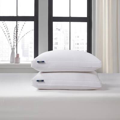 Beautyrest Charcoal Lux Memory Foam Jumbo Knit Pillow Set of 2  DS2615BRCHRJ2PK - The Home Depot