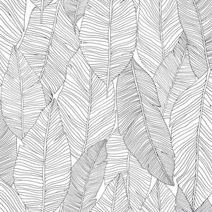 Thuy Grey Banana Leaves Paper Strippable Wallpaper (Covers 56.4 sq. ft.)