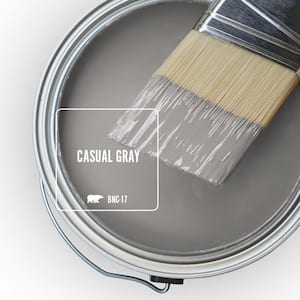 BNC-17 Casual Gray Paint