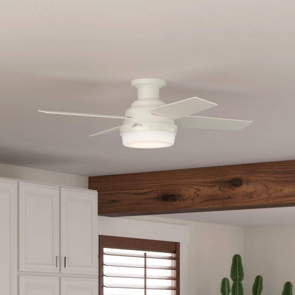 Hunter Dempsey 44 in. Fresh White Low Profile Indoor Ceiling Fan with LED Light Kit and Handheld Remote 59244