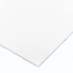 1/2 in. x 2 ft. x 4 ft. White Primed Southern Yellow Pine BC