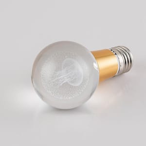 5-Watt Equivalent Jellyfish Globe Shaped E26/27 Crystal LED Light Bulb in Warm White (1-Pack)