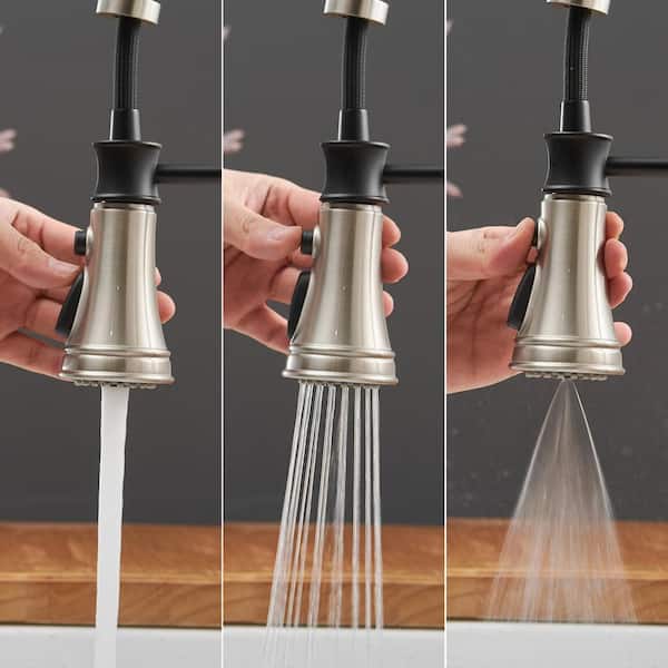 Single Handle Pull Down Sprayer Kitchen Faucet with Advanced Spray, Pull Out Spray with Deck Plate in Black and Nickel