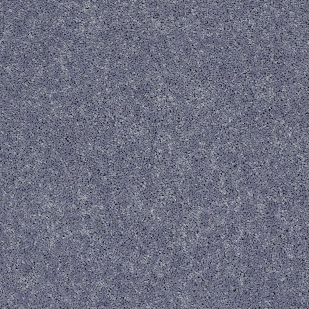 8 in. x 8 in. Texture Carpet Sample - Cottage Comforts - Color Gunmetal price history on PriceWatchPro