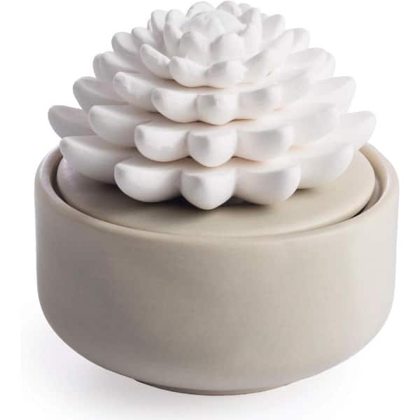 Afoxsos White Porcelain Diffuser, Non-Electric, Battery-Free Fragrance and Essential Oil Diffuser with Peppermint Essential Oil