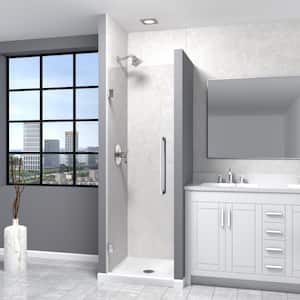 Elizabeth 24.375 in. W x 76 in. H Hinged Frameless Shower Door in Polished Chrome with Clear Glass