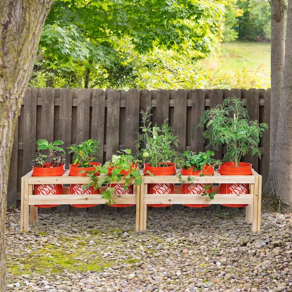 84 in. x 16 in. x 20 in. 6 Bucket Elevated Unfinished Wood Cedar Garden Frame Raised Beds