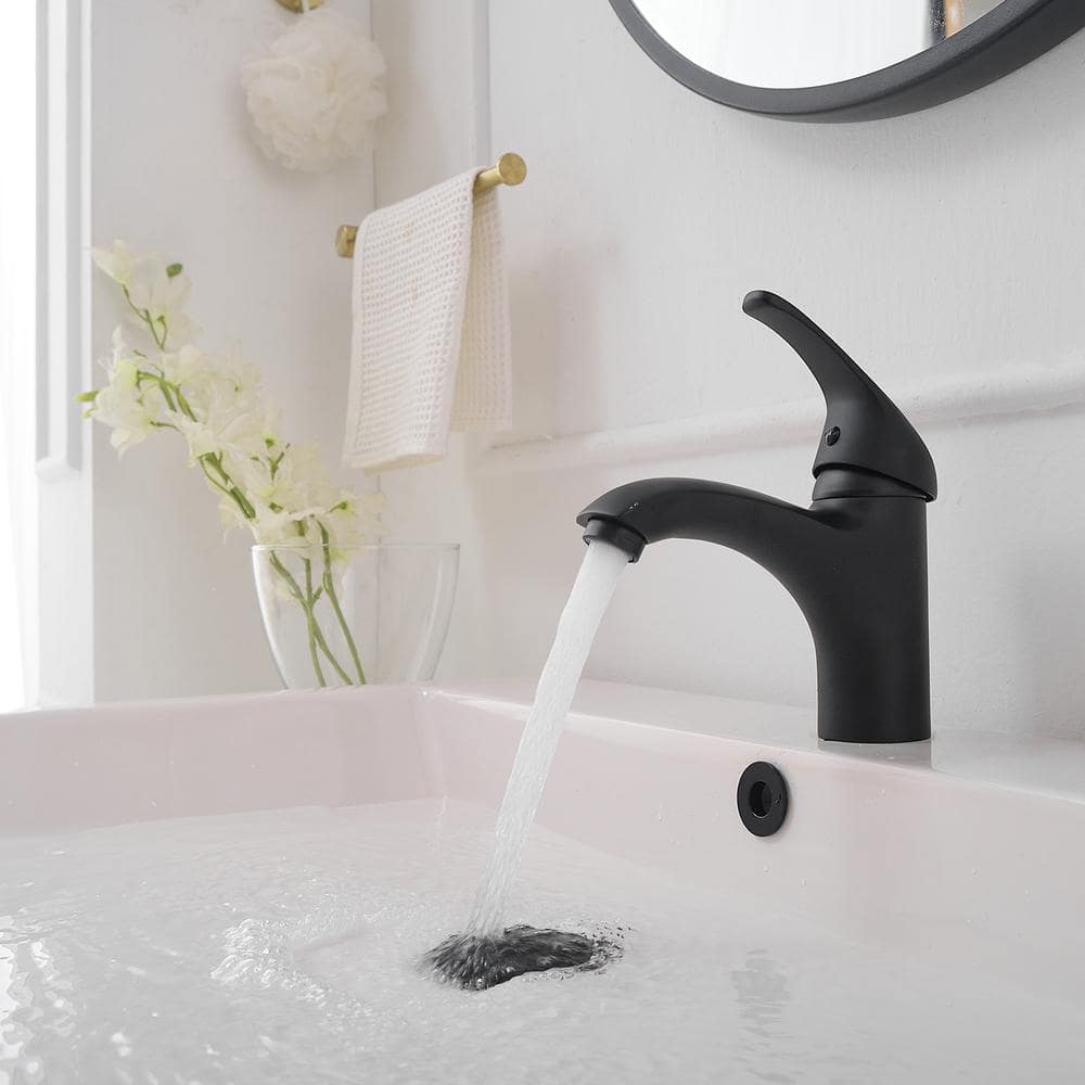 Matte Black Stainless Steel Single-Handle Bathroom Faucet