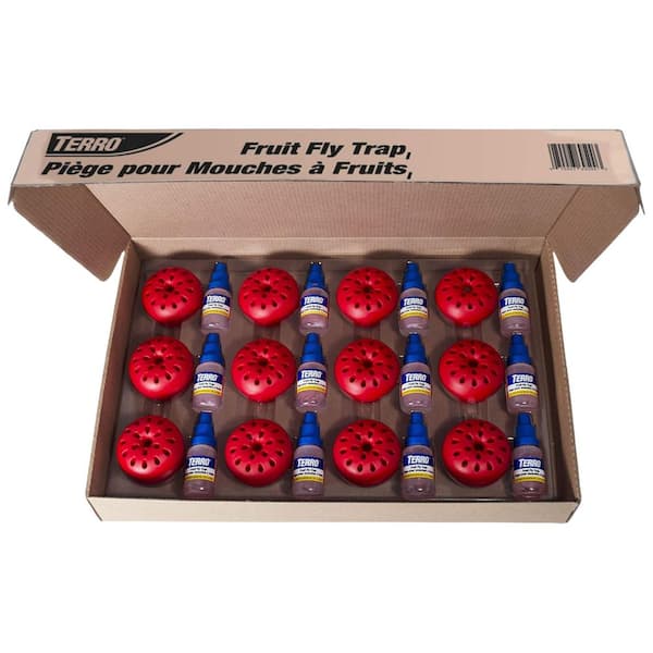 TERRO Ready-to-Use Indoor Fruit Fly Traps with Bait (12-Count)