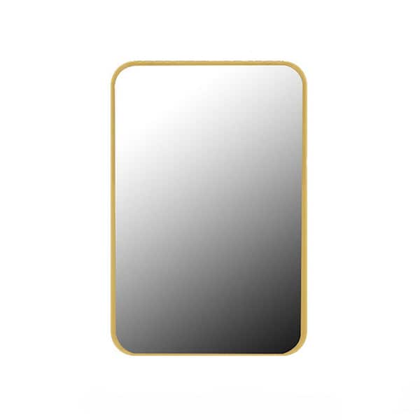 16 in. W x 24 in. H Rectangular Metal Medicine Cabinet with Mirror