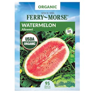 Watermelon All-Sweet Organic Seed
