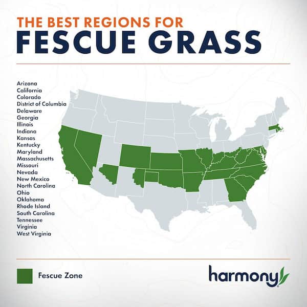 500 sq. ft. Fescue Sod (1-Pallet)