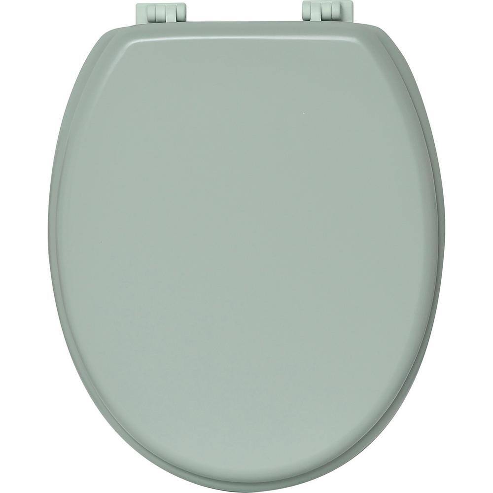 Oval Closed Front Toilet Seat in Almond Green4101146 The Home Depot