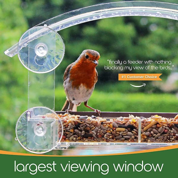 Jarkyfine wuzi01 Window Bird Feeder, clear Window Bird Feeder with Strong  Suction cups, Large Acrylic Weatherproof Bird Feeders for Wild Birds wi