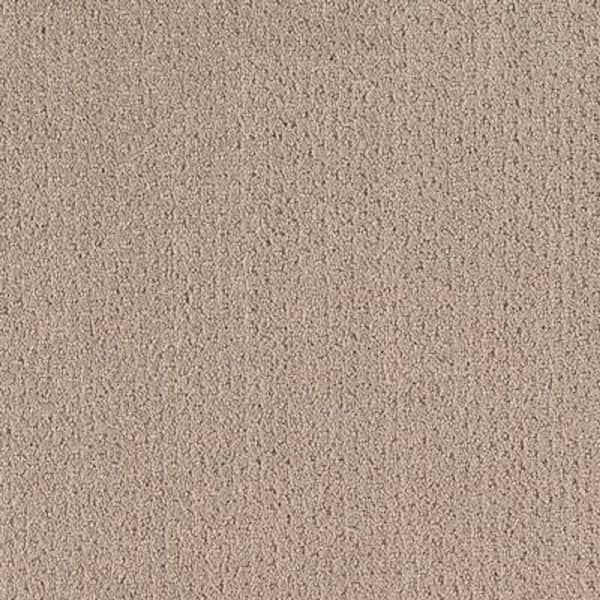 Lifeproof Carpet Sample - Spirewell - Color Tender Taupe Pattern 8 in. x 8 in.