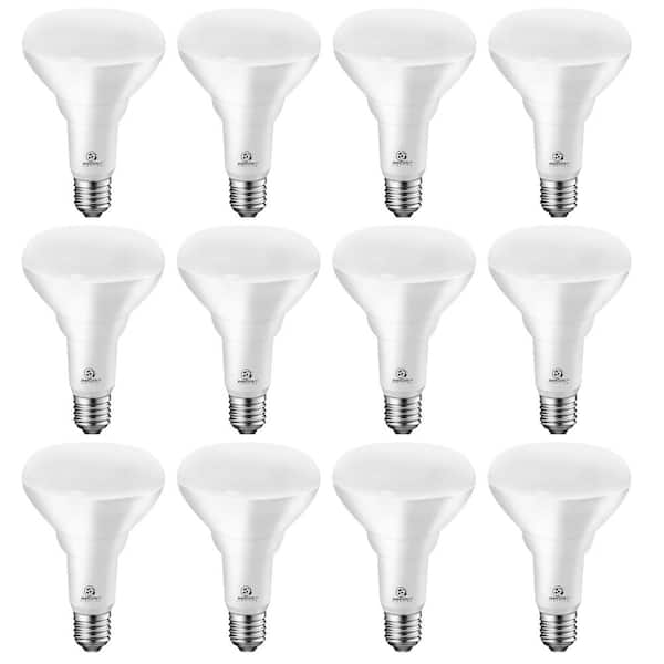 ENERGETIC LIGHTING 75-Watt Equivalent BR30 LED Recessed Light Bulb Dimmable 900 Lumens Daylight 5000K (12-Pack)