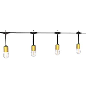 12-Light 24 ft. Indoor/Outdoor Plug-In S14 Single Filament LED Edison String Light with Brass Sockets