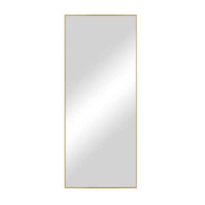 Large Rectangle Gold Hooks Contemporary Mirror (59 in. H x 16 in. W)