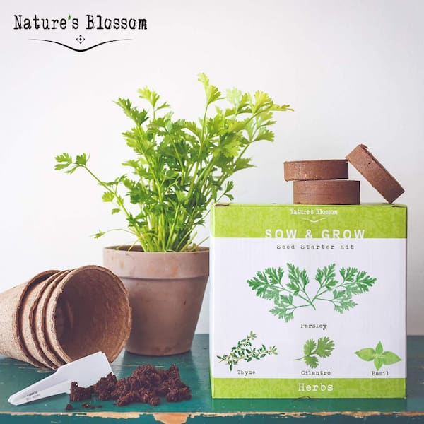 Nature's Blossom 4 Seed Basil, Cilantro, Parsley and Thyme Herb Garden Kit  X00108AAX9 - The Home Depot