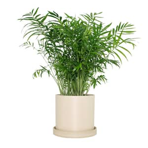 White - Composite - Plant Pots - Planters - The Home Depot