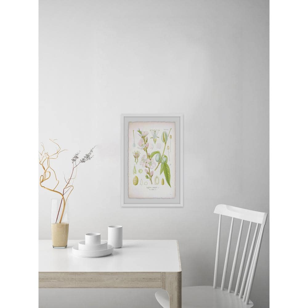 24 in. H x 16 in. W "Plant Genus" by Marmont Hill Framed Printed Wall Art  VINBOT20WFPFL24 The Home Depot
