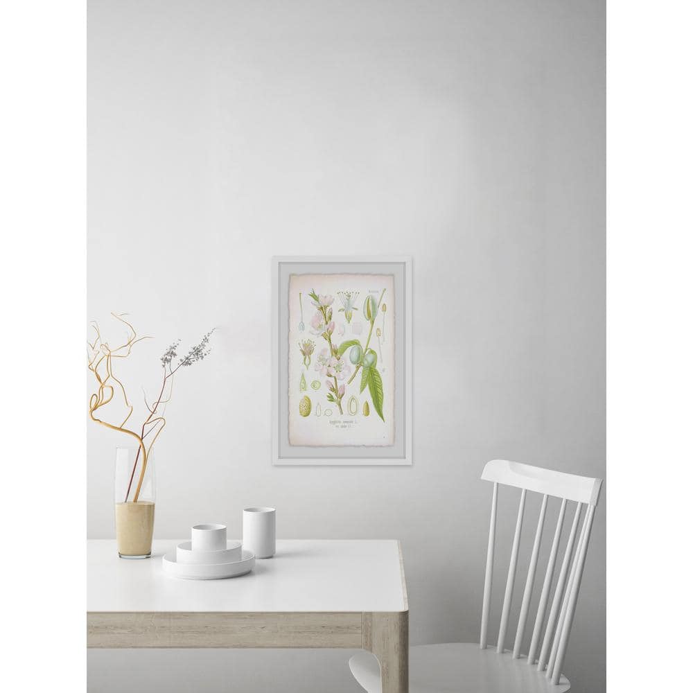 30 in. H x 20 in. W Plant Genus by Marmont Hill Framed Printed Wall Ar