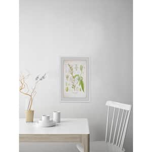 36 in. H x 24 in. W "Plant Genus" by Marmont Hill Framed Printed Wall Art