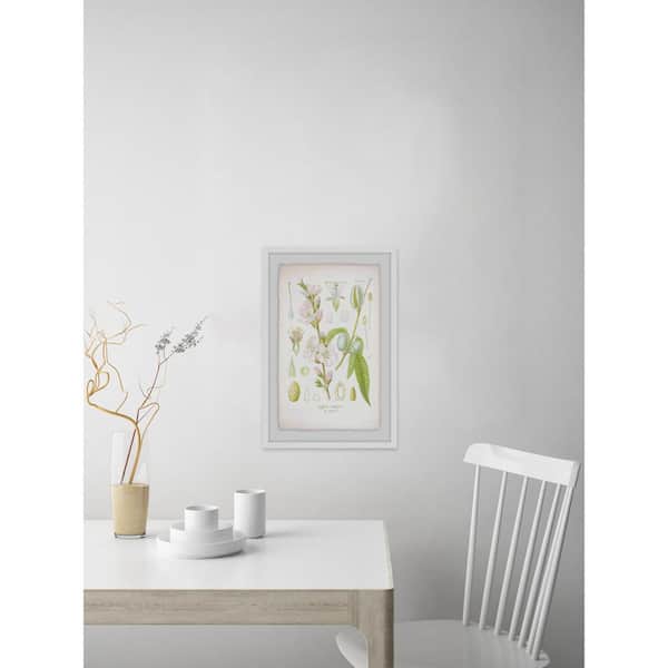 Unbranded 36 in. H x 24 in. W "Plant Genus" by Marmont Hill Framed Printed Wall Art
