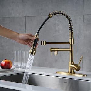 Single-Handle Pull Down Sprayer Kitchen Faucet with Advanced Spray, Pull Out Spray Wand in Solid Brass in Brushed Gold