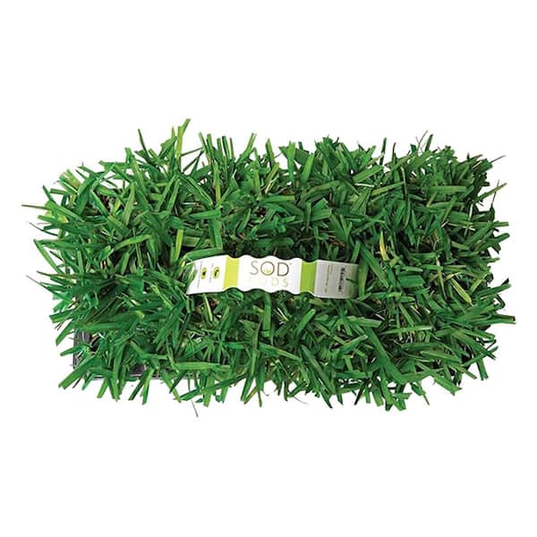 SodPods St. Augustine Provista 32-Pack