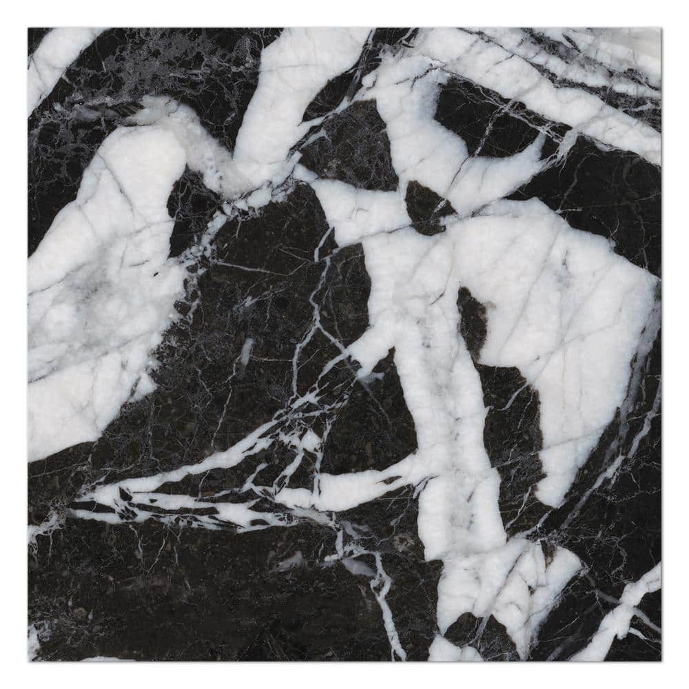 Senzia 8" x 8" Black and White Marble-Look Porcelain Tile